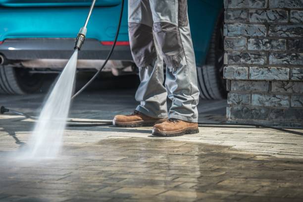 Best Pre-Holiday Cleaning  in Gibbon, NE